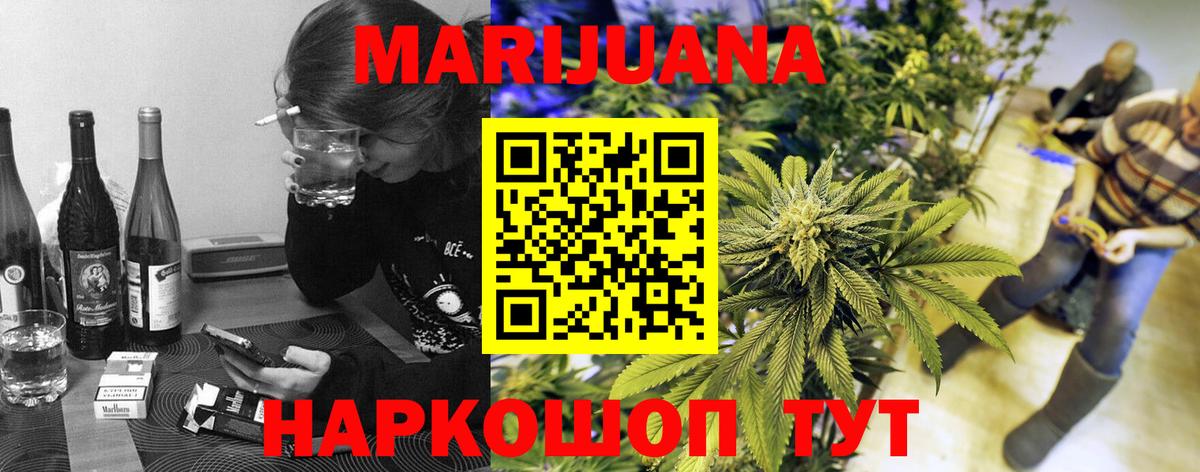 Конопля планчик  Вход с VPN  Саров  Бошки марихуана конопля  Бошки Шишки OG Kush 